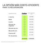 NIGHT RESET: Fórmula avanzada para un sueño reparador